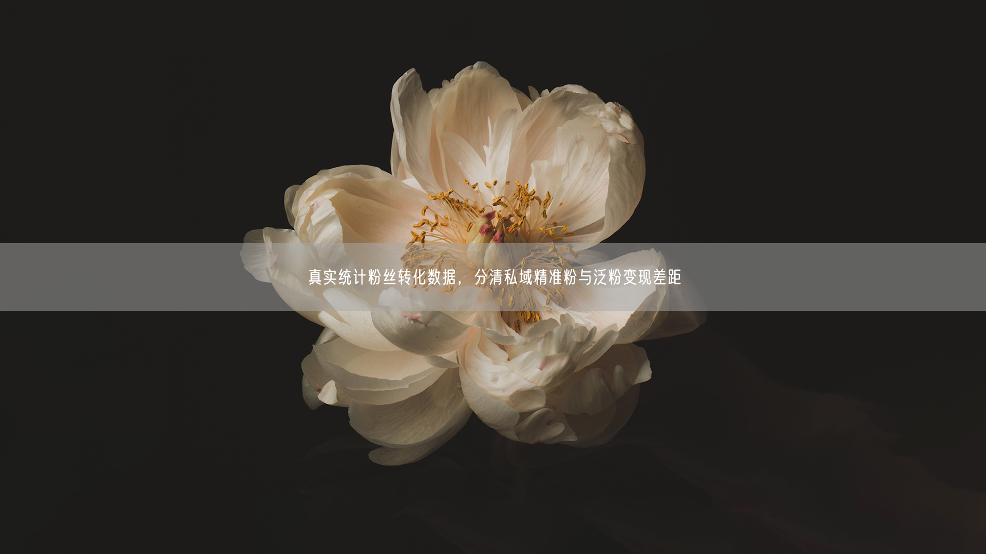 真实统计粉丝转化数据，分清私域精准粉与泛粉变现差距