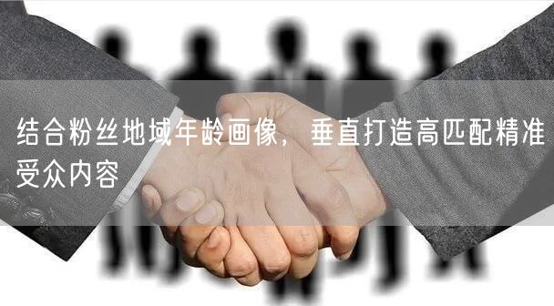 结合粉丝地域年龄画像,垂直打造高匹配精准受众内容