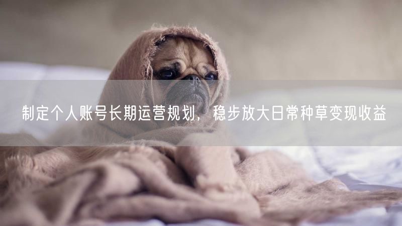 制定个人账号长期运营规划，稳步放大日常种草变现收益