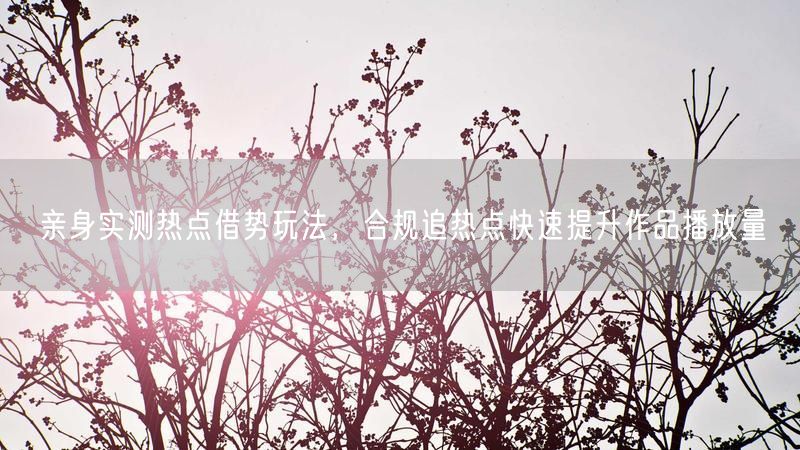 亲身实测热点借势玩法,合规追热点快速提升作品播放量
