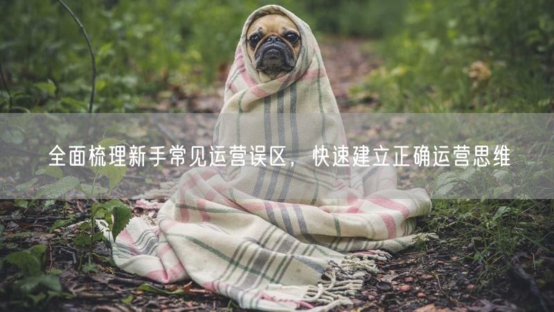 全面梳理新手常见运营误区，快速建立正确运营思维