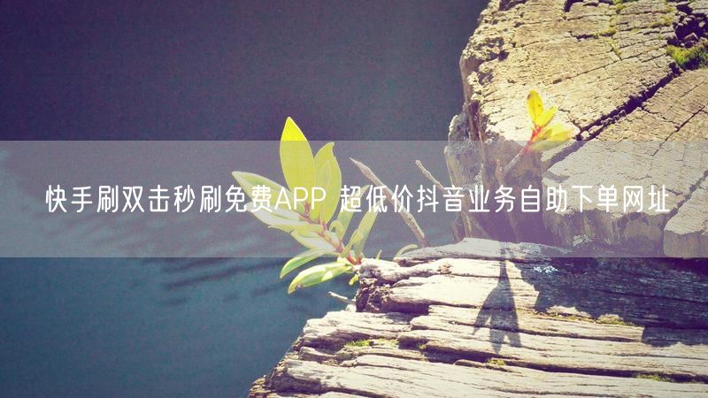 快手刷双击秒刷免费APP 超低价抖音业务自助下单网址