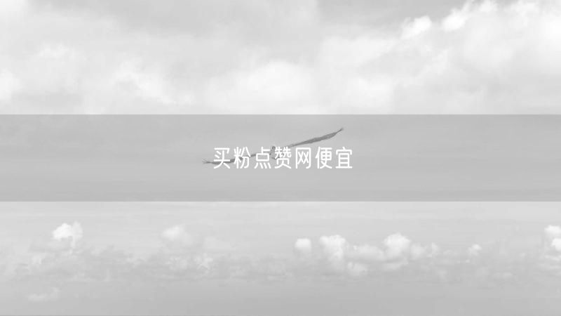 买粉点赞网便宜