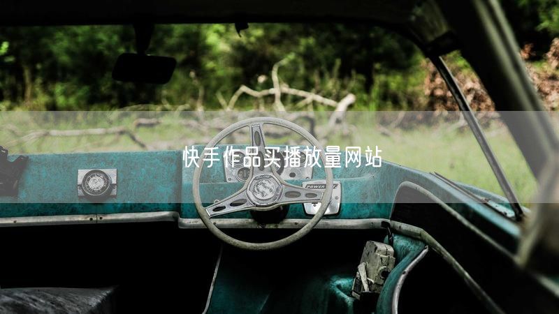 快手作品买播放量网站