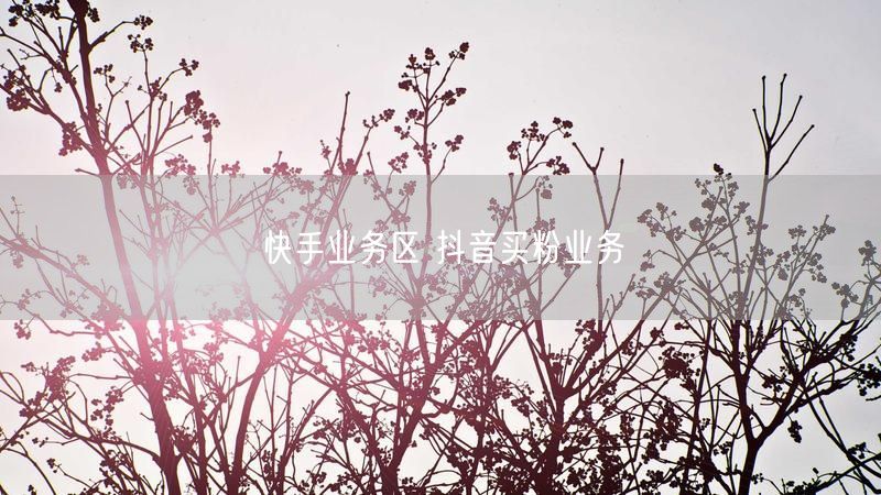 快手业务区 抖音买粉业务