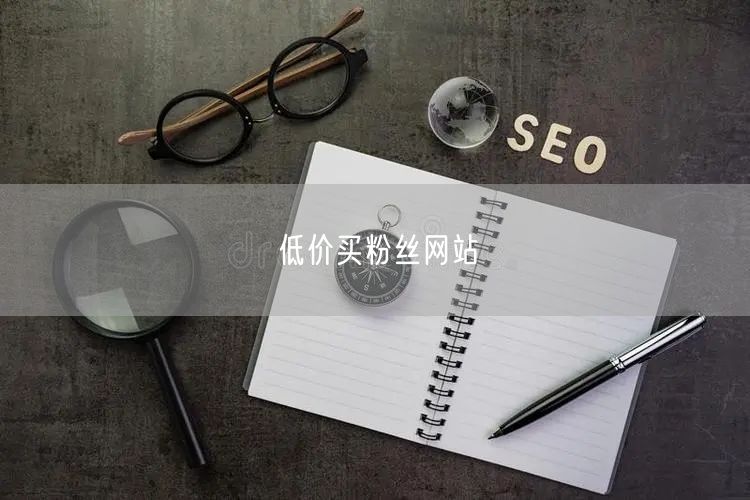 低价买粉丝网站