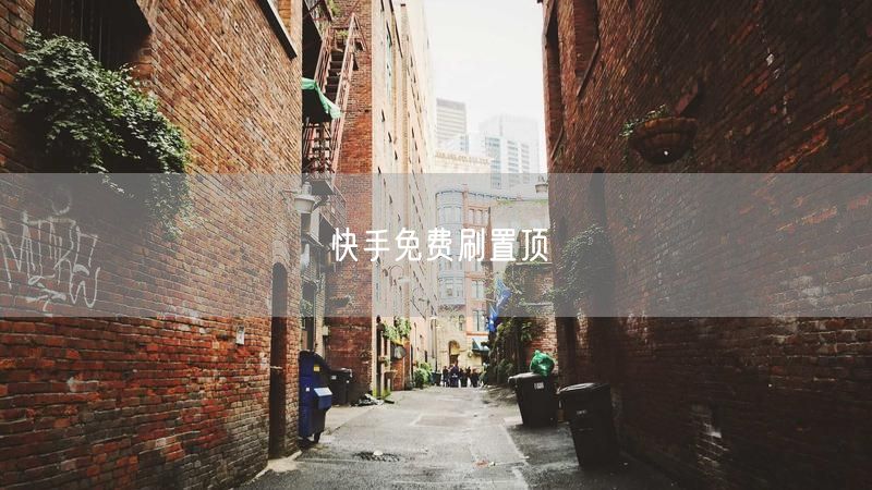 快手免费刷置顶