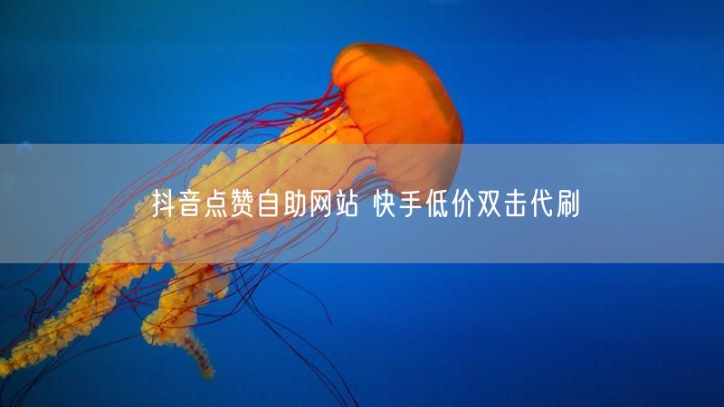 抖音点赞自助网站 快手低价双击代刷