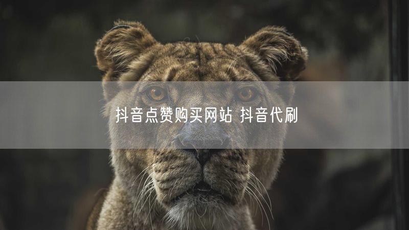 抖音点赞购买网站 抖音代刷