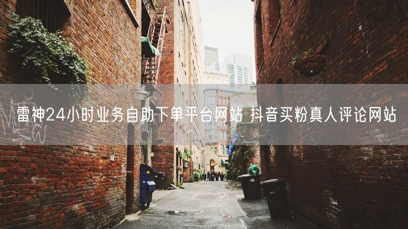 雷神24小时业务自助下单平台网站 抖音买粉真人评论网站