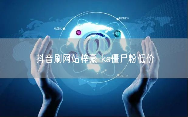 抖音刷网站梓豪 ks僵尸粉低价