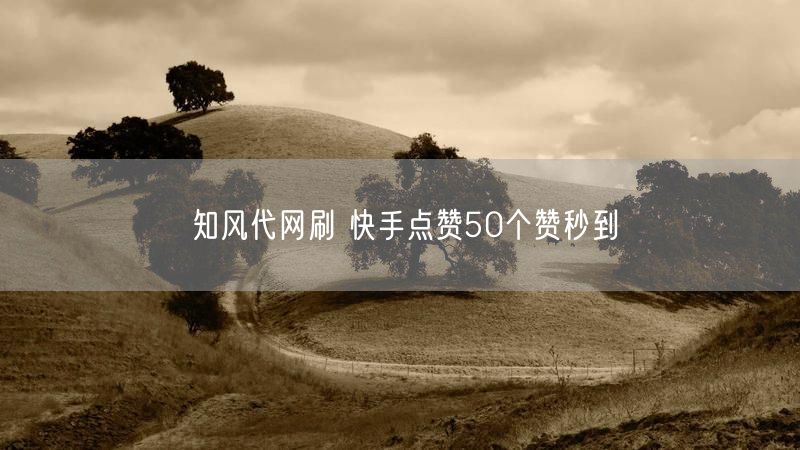 知风代网刷 快手点赞50个赞秒到
