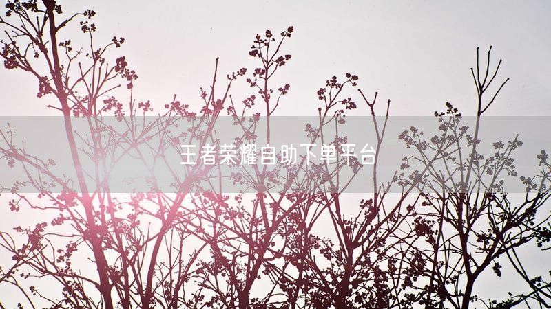 王者荣耀自助下单平台
