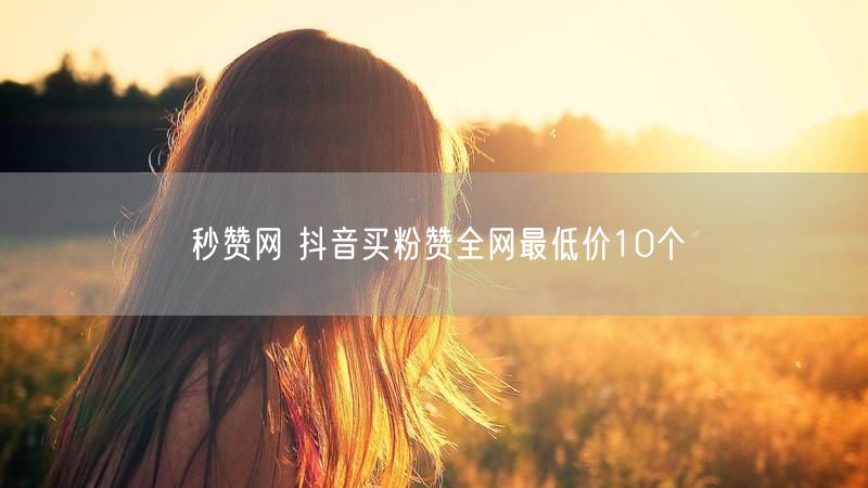 秒赞网 抖音买粉赞全网最低价10个