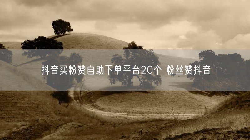 抖音买粉赞自助下单平台20个 粉丝赞抖音