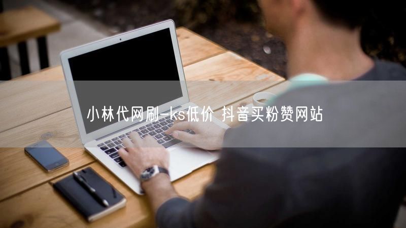小林代网刷-ks低价 抖音买粉赞网站
