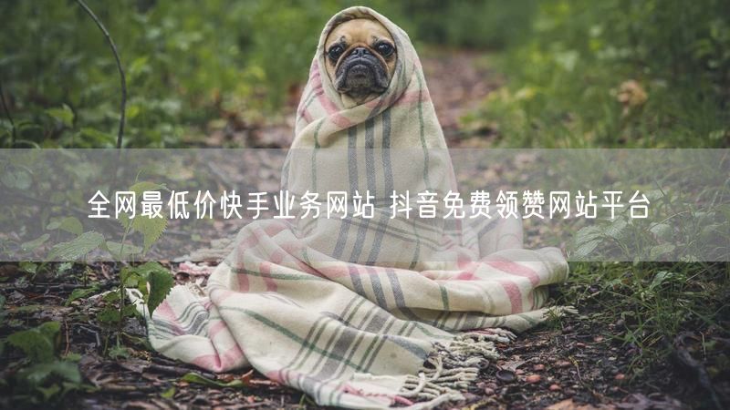 全网最低价快手业务网站 抖音免费领赞网站平台