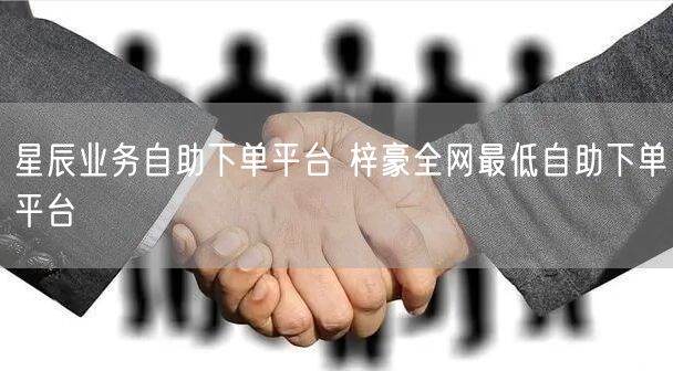 星辰业务自助下单平台 梓豪全网最低自助下单平台