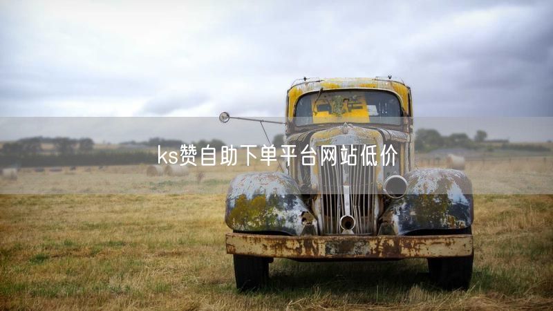ks赞自助下单平台网站低价