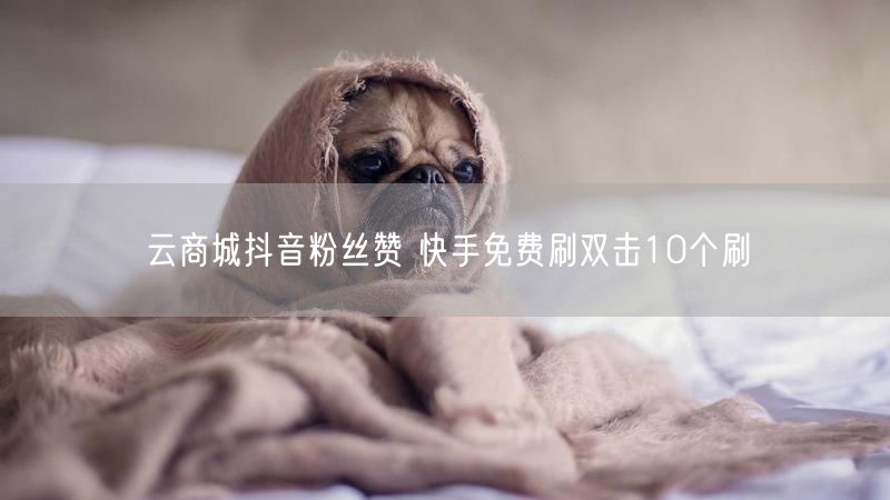 云商城抖音粉丝赞 快手免费刷双击10个刷