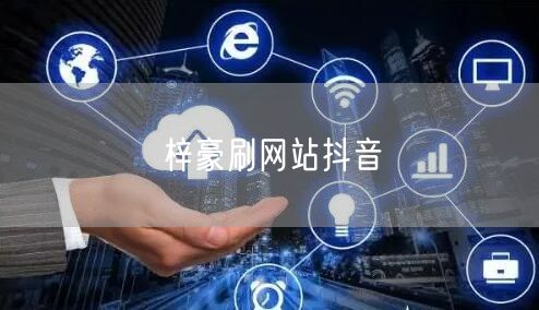 梓豪刷网站抖音