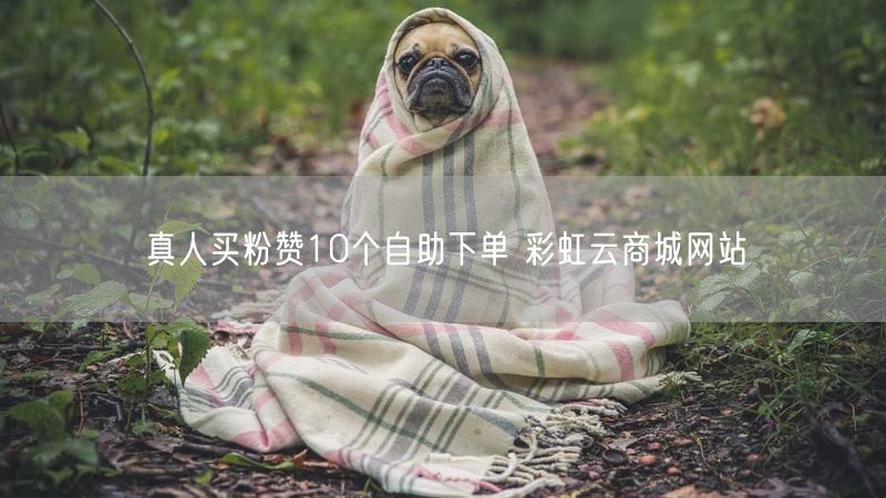 真人买粉赞10个自助下单 彩虹云商城网站