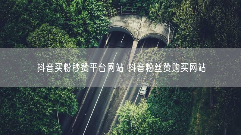 抖音买粉秒赞平台网站 抖音粉丝赞购买网站