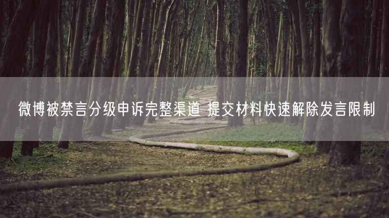 微博被禁言分级申诉完整渠道 提交材料快速解除发言限制