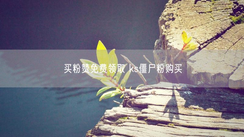 买粉赞免费领取 ks僵尸粉购买