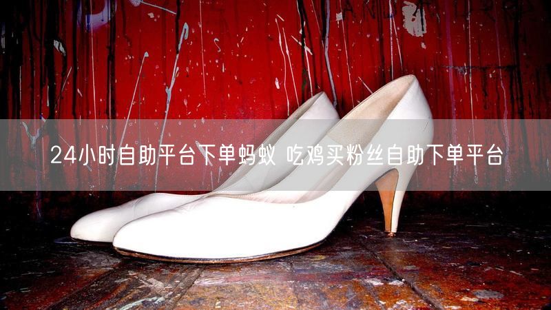 24小时自助平台下单蚂蚁 吃鸡买粉丝自助下单平台