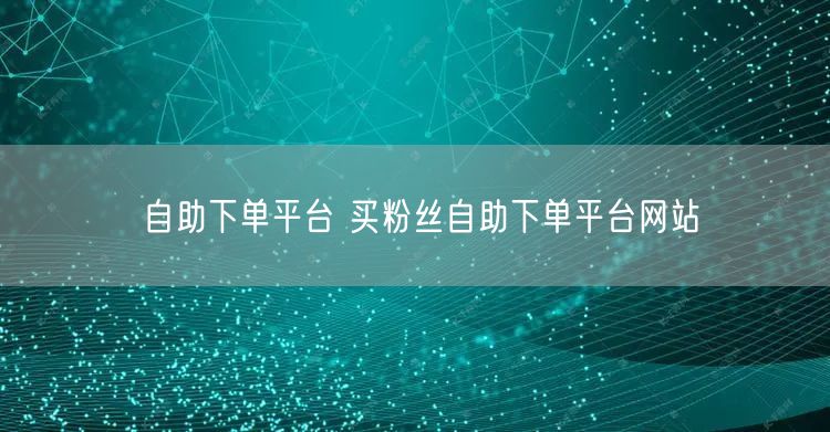 自助下单平台 买粉丝自助下单平台网站