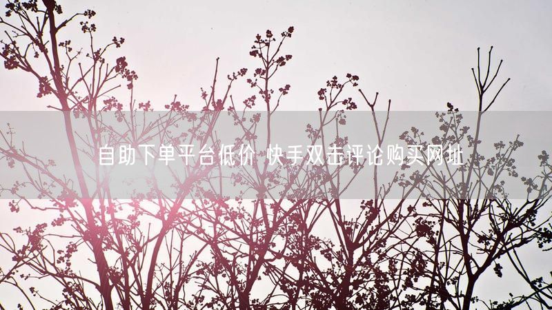 自助下单平台低价 快手双击评论购买网址