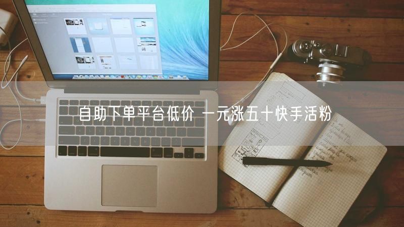 自助下单平台低价 一元涨五十快手活粉