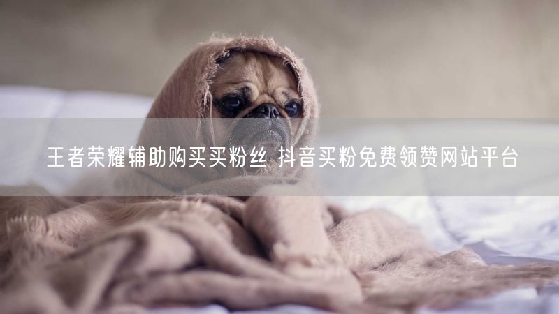 王者荣耀辅助购买买粉丝 抖音买粉免费领赞网站平台