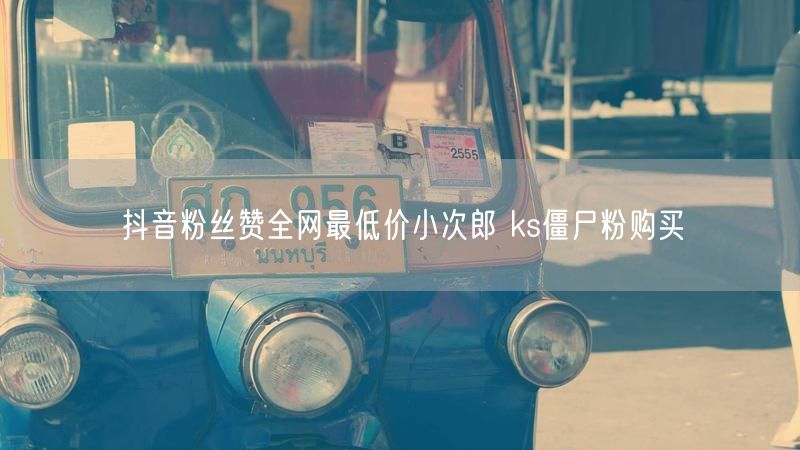 抖音粉丝赞全网最低价小次郎 ks僵尸粉购买