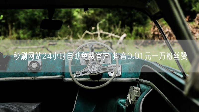 秒刷网站24小时自助免费官方 抖音0.01元一万粉丝赞