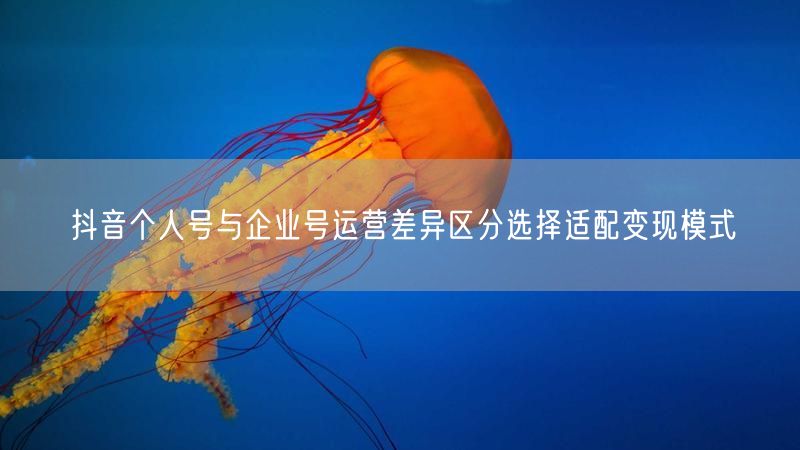 抖音个人号与企业号运营差异区分选择适配变现模式