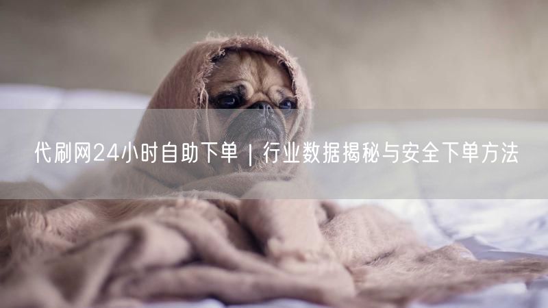 代刷网24小时自助下单|行业数据揭秘与安全下单方法