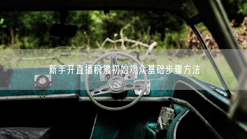 新手开直播必看：快速积累观众基础的实用技巧