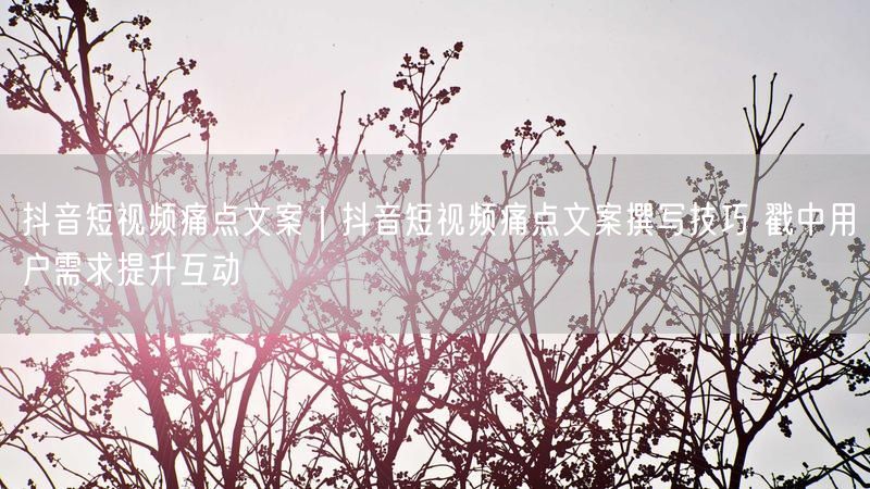 抖音短视频痛点文案｜抖音短视频痛点文案撰写技巧 戳中用户需求提升互动