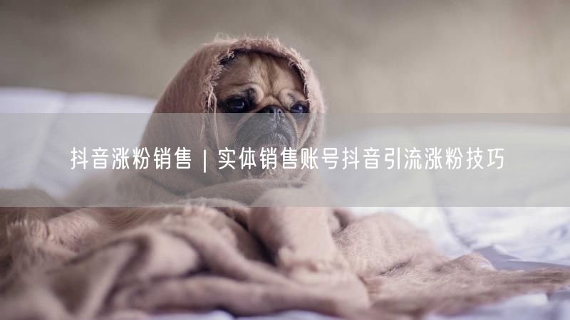 实体销售必看：抖音引流涨粉技巧与账号运营攻略