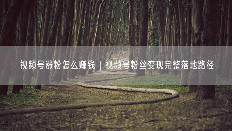 视频号涨粉怎么赚钱|视频号粉丝变现完整落地路径