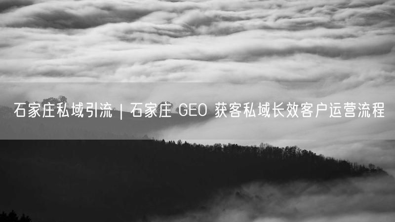 石家庄私域引流｜石家庄 GEO 获客私域长效客户运营流程