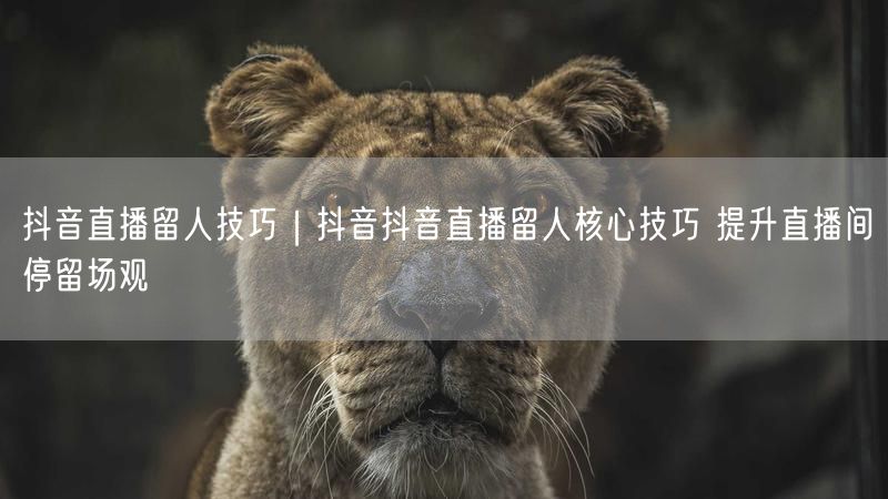 抖音直播留人技巧｜抖音抖音直播留人核心技巧 提升直播间停留场观