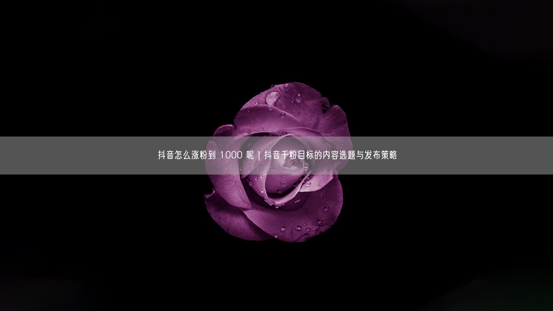 抖音怎么涨粉到 1000 呢｜抖音千粉目标的内容选题与发布策略