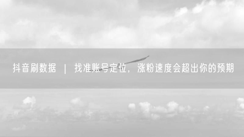 抖音刷数据 ｜ 找准账号定位，涨粉速度会超出你的预期