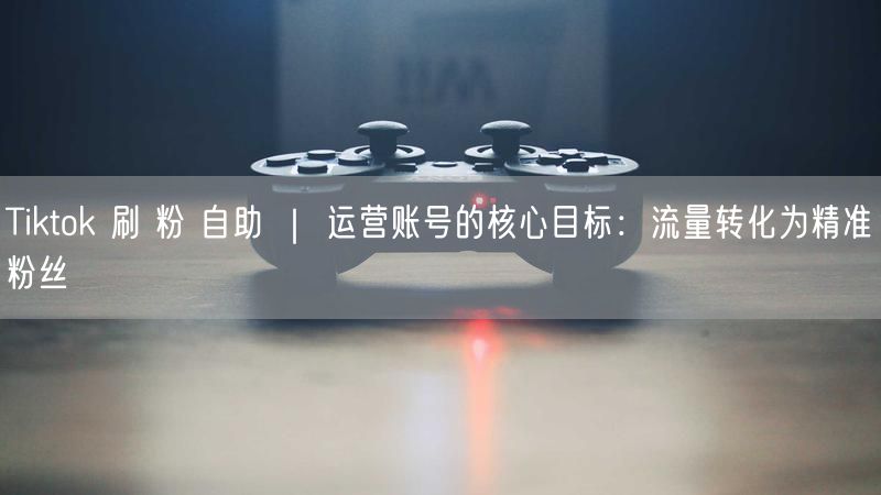 Tiktok 刷 粉 自助 ｜ 运营账号的核心目标：流量转化为精准粉丝