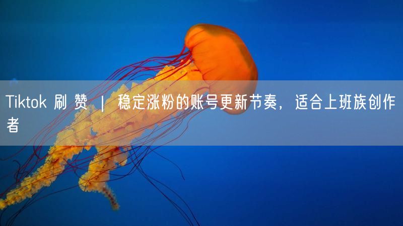 Tiktok 刷 赞 ｜ 稳定涨粉的账号更新节奏，适合上班族创作者